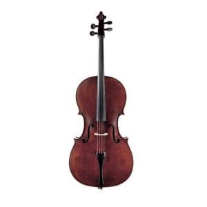 An Italian cello from the 19th century