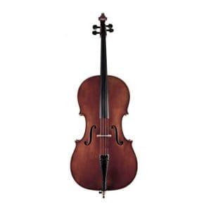 A French cello from the 19th century (mirecourt)