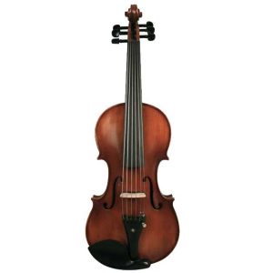 6-string acoutic violin