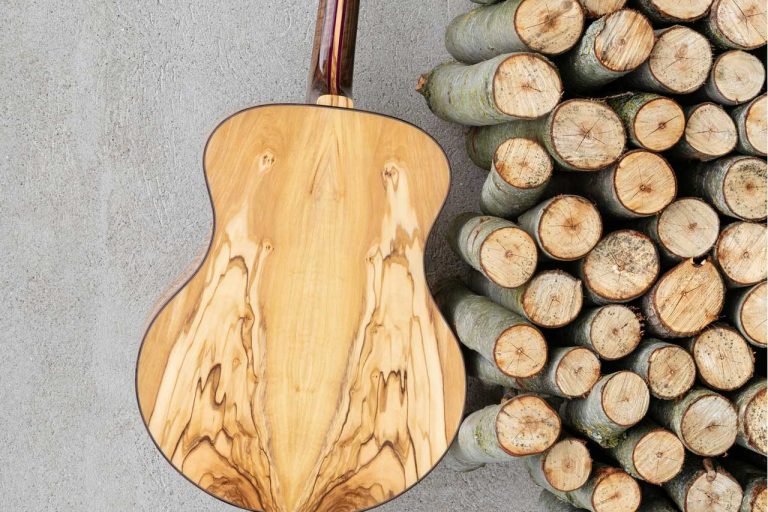 What are the correlations between wood species and the acoustics of a musical instrument?